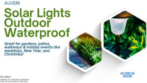 Outdoor Solar Lights