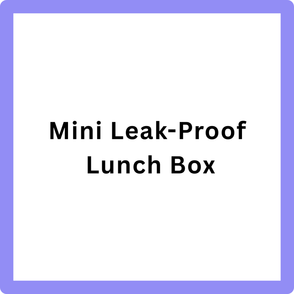 Mini Leak-Proof Lunch Box