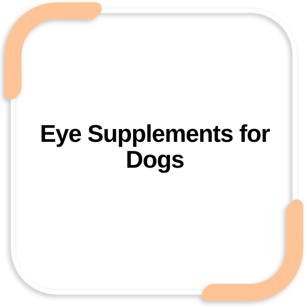 Eye Supplements for Dogs
