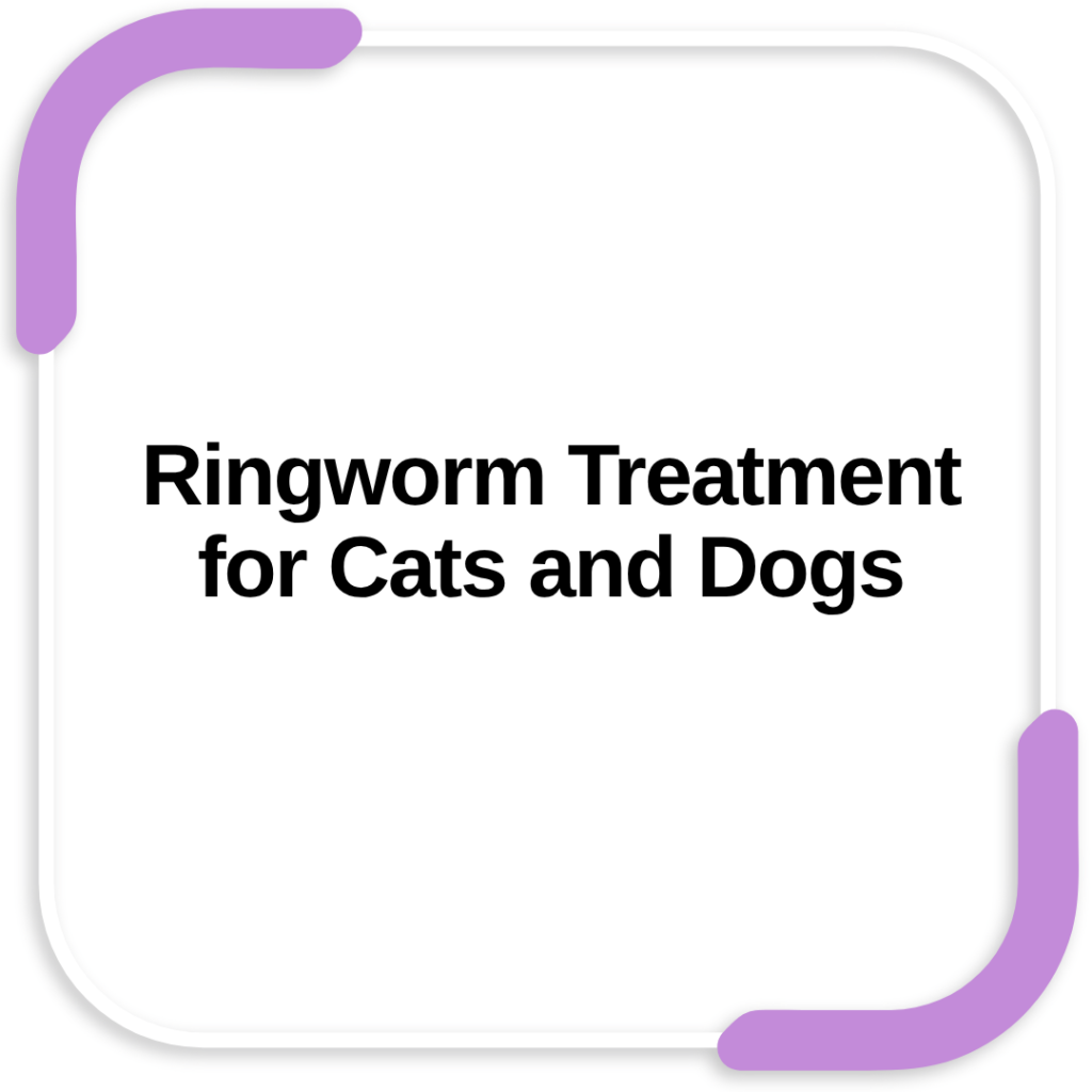 Ringworm Treatment for Cats and Dogs