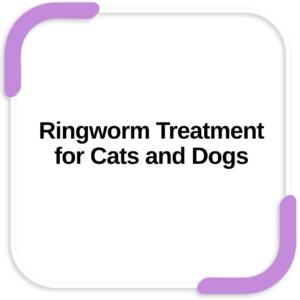 Ringworm Treatment for Cats and Dogs