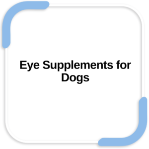 Eye Supplements for Dogs