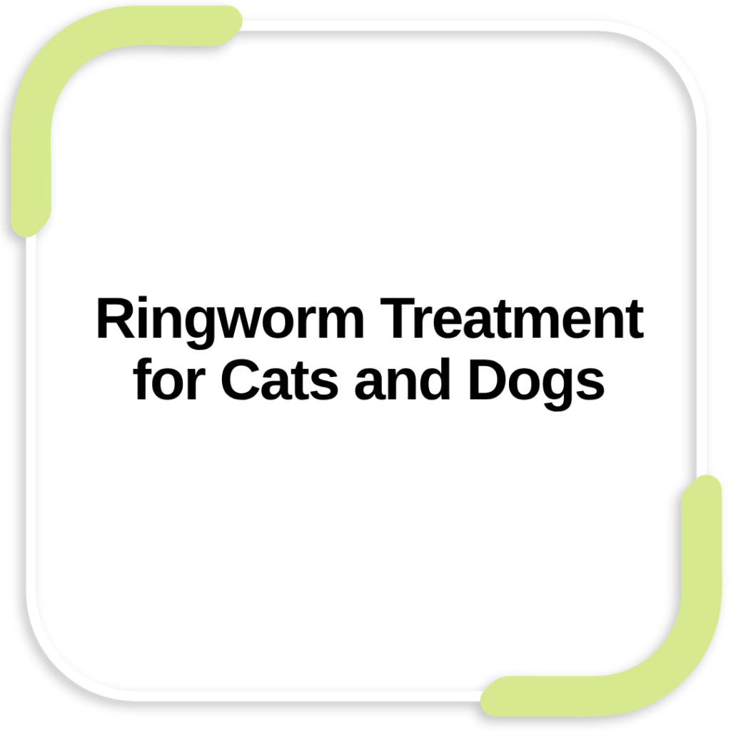 Ringworm Treatment for Cats and Dogs