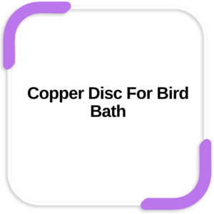 Copper Disc for Bird Bath