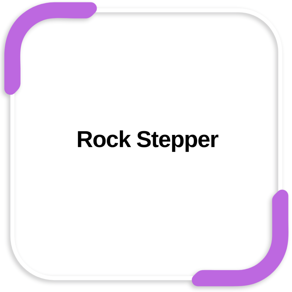 Rock Stepper