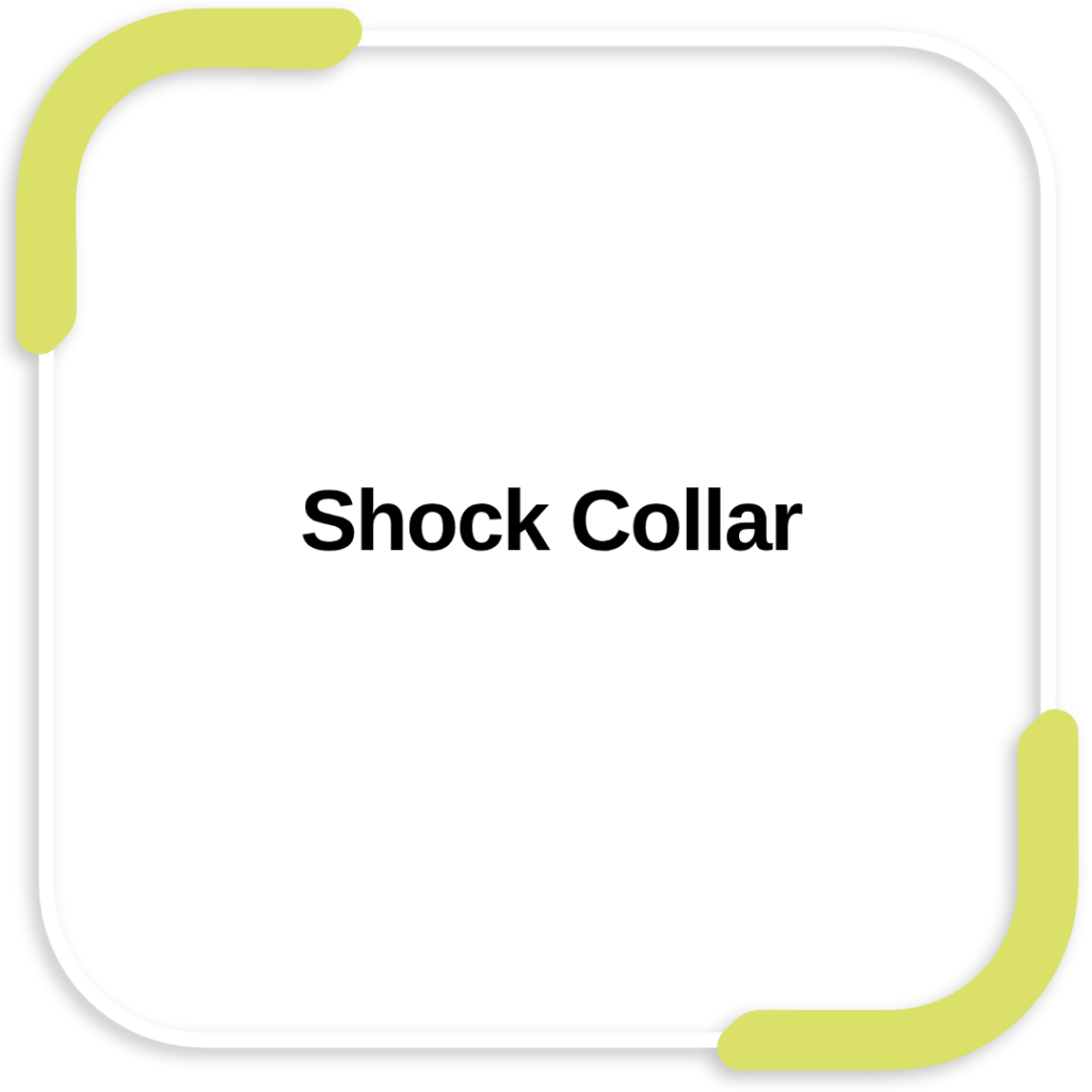 Shock Collar