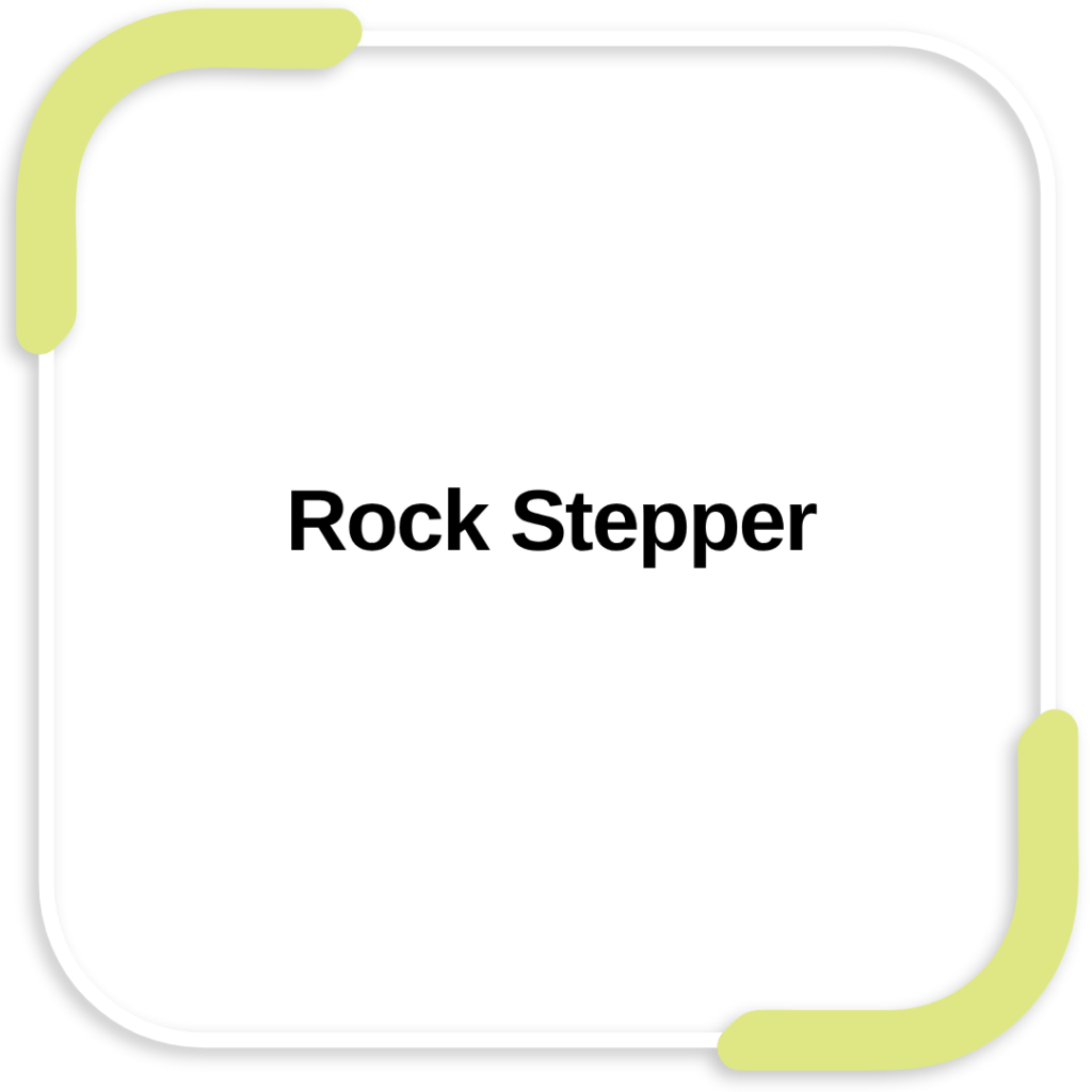 Rock Stepper