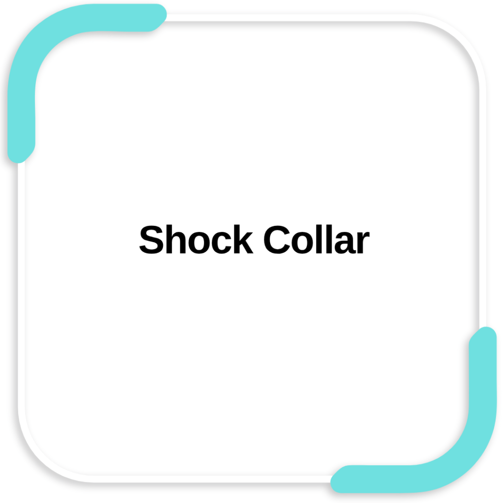 Shock Collar