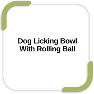 Dog Licking Bowl With Rolling Ball