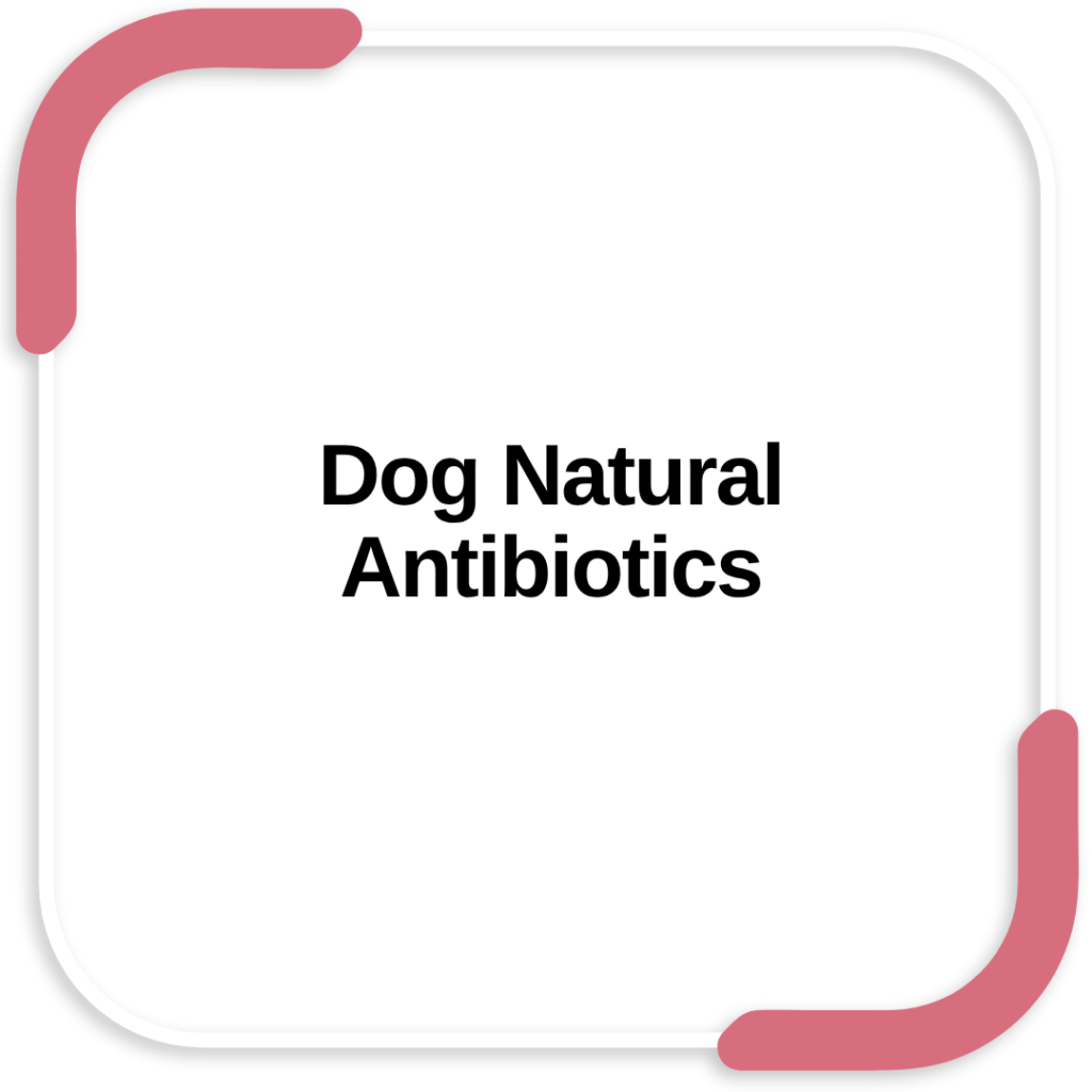 Dog Natural Antibiotics