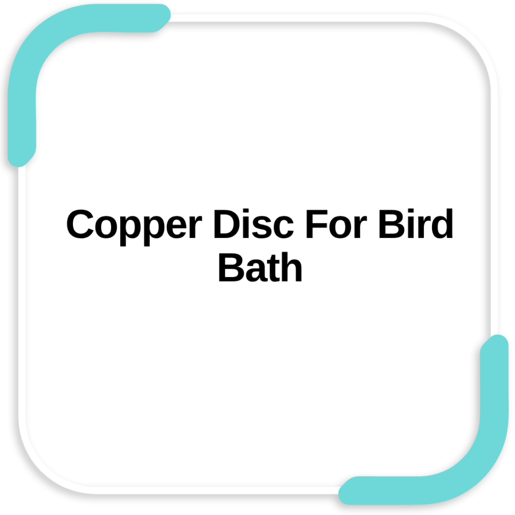 Copper Disc For Bird Bath