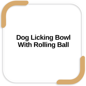 Dog Licking Bowl With Rolling Ball