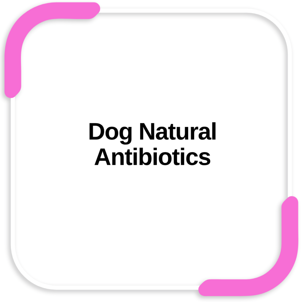 Dog Natural Antibiotics