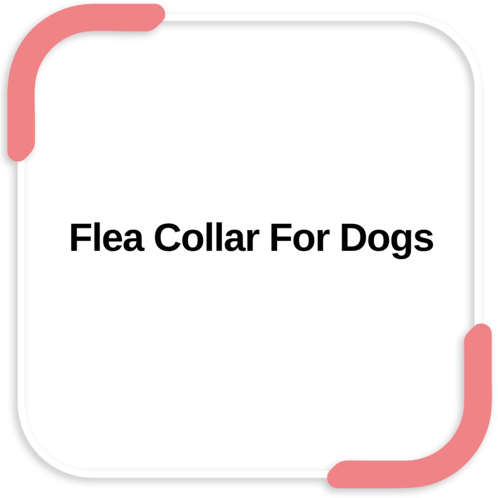 Flea Collar For Dogs