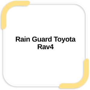 Rain Guard Toyota Rav4