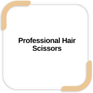 Professional Hair Scissors