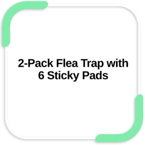 2-Pack Flea Trap with 6 Sticky Pads