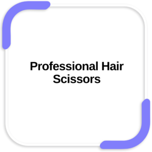 Professional Hair Scissors