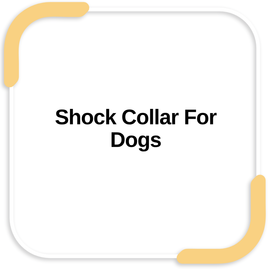 Shock Collar For Dogs