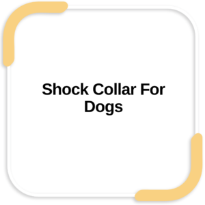 Shock Collar For Dogs