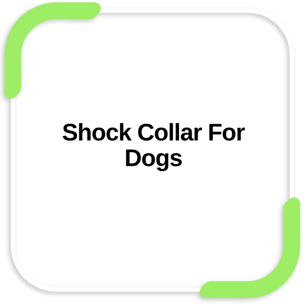 Shock Collar For Dogs