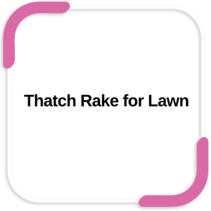 Thatch Rake for Lawn