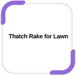 Thatch Rake for Lawn