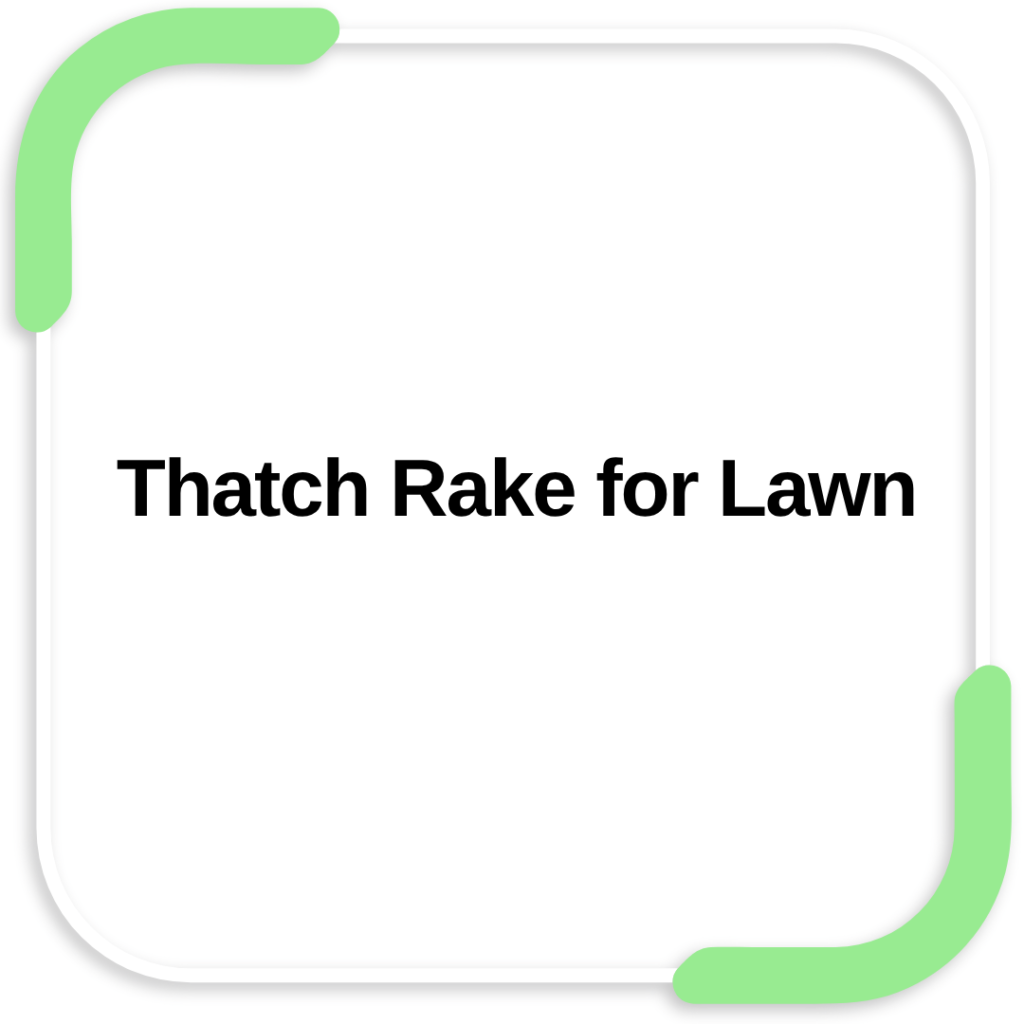 Thatch Rake for Lawn
