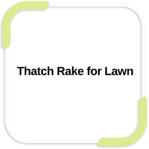 Thatch Rake for Lawn