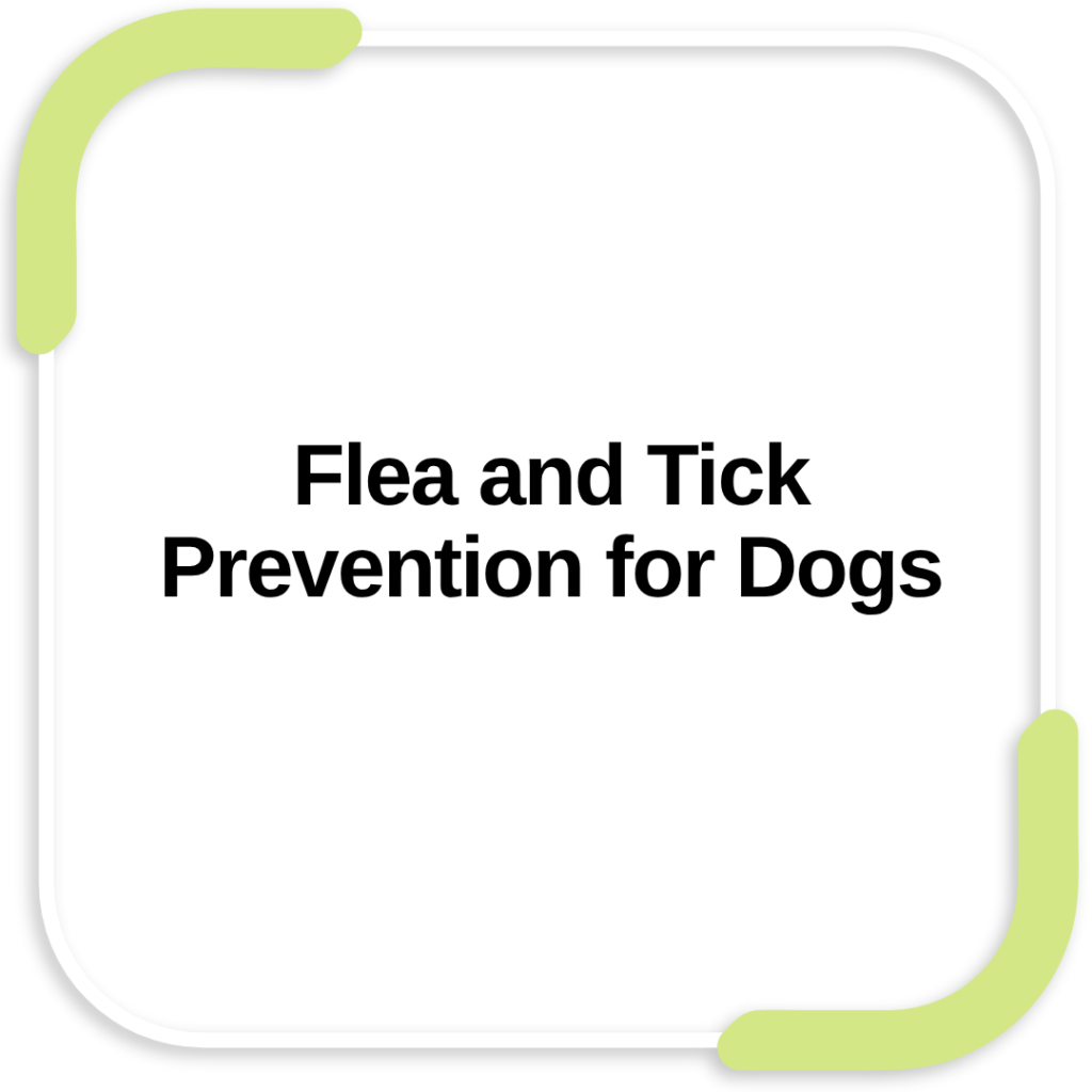 Flea and Tick Prevention for Dogs