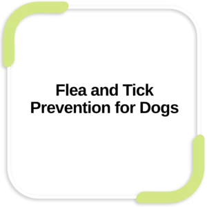 Flea and Tick Prevention for Dogs