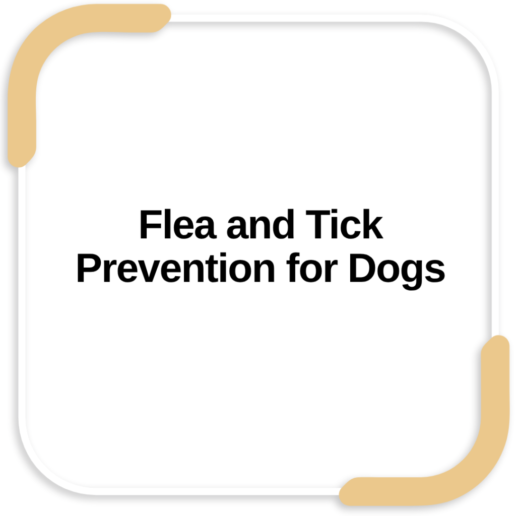 Flea and Tick Prevention for Dogs