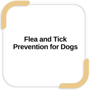 Flea and Tick Prevention for Dogs