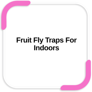 Fruit Fly Traps For Indoors