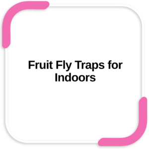 Fruit Fly Traps for Indoors