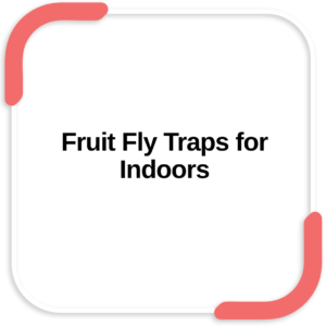 Fruit Fly Traps for Indoors