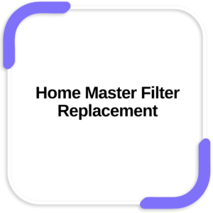 Home Master Filter Replacement