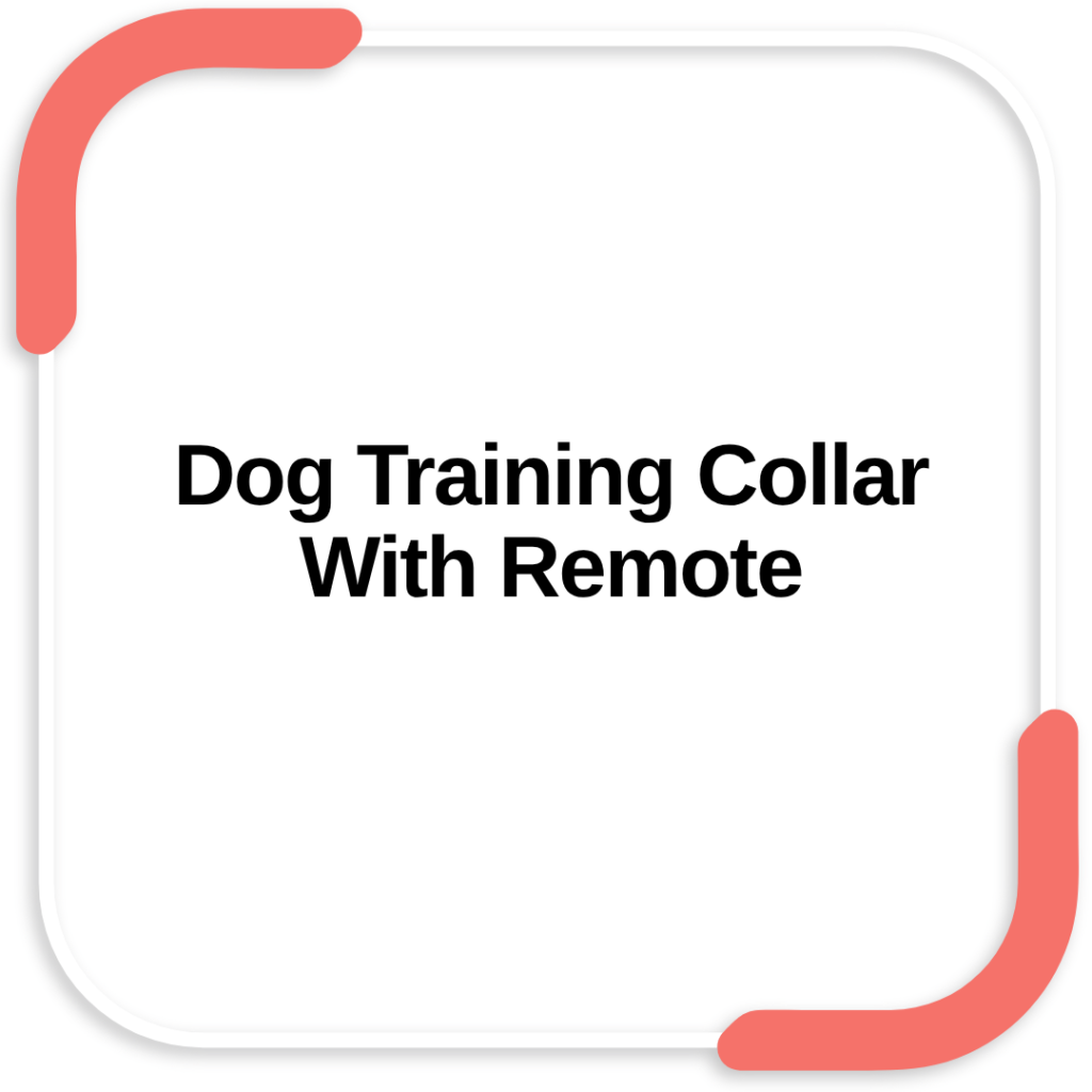 Dog Training Collar With Remote