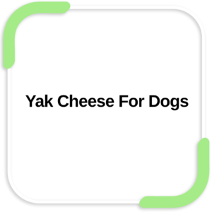 Yak Cheese For Dogs