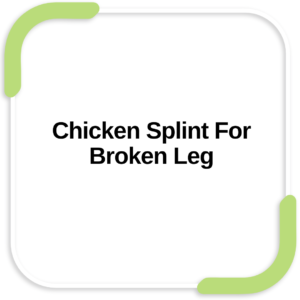 Chicken Splint For Broken Leg