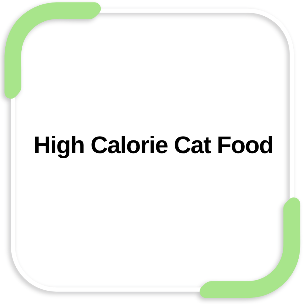High Calorie Cat Food